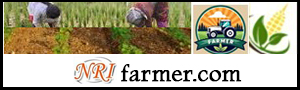 farmer